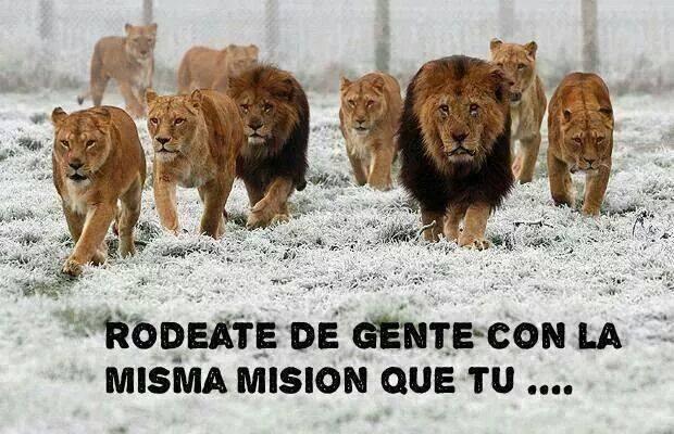 Rodéate de gente con la misma misión que tú